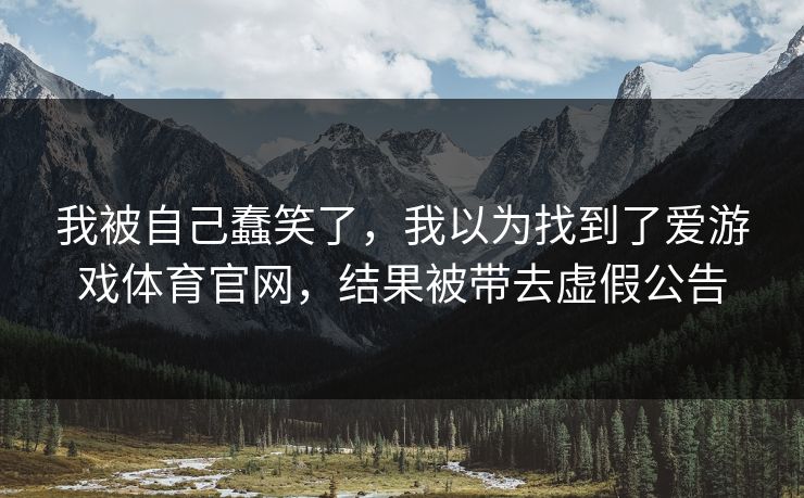 我被自己蠢笑了，我以为找到了爱游戏体育官网，结果被带去虚假公告