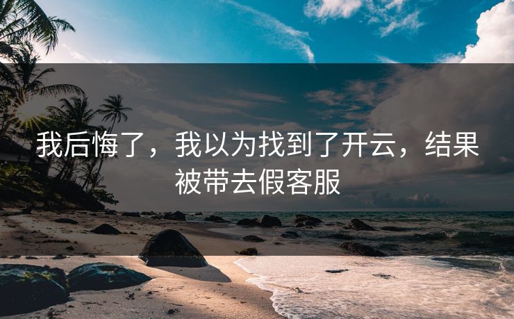 我后悔了，我以为找到了开云，结果被带去假客服